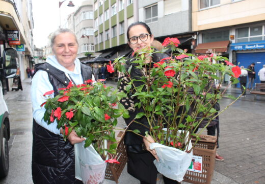 160 familias que participan nos programas municipais de compostaxe recolleron plantas de temporada retiradas dos xardíns